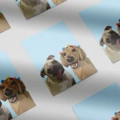 Illustrativ Kæledyrsportræt 9 Illustrativ Kæledyrsportræt 5